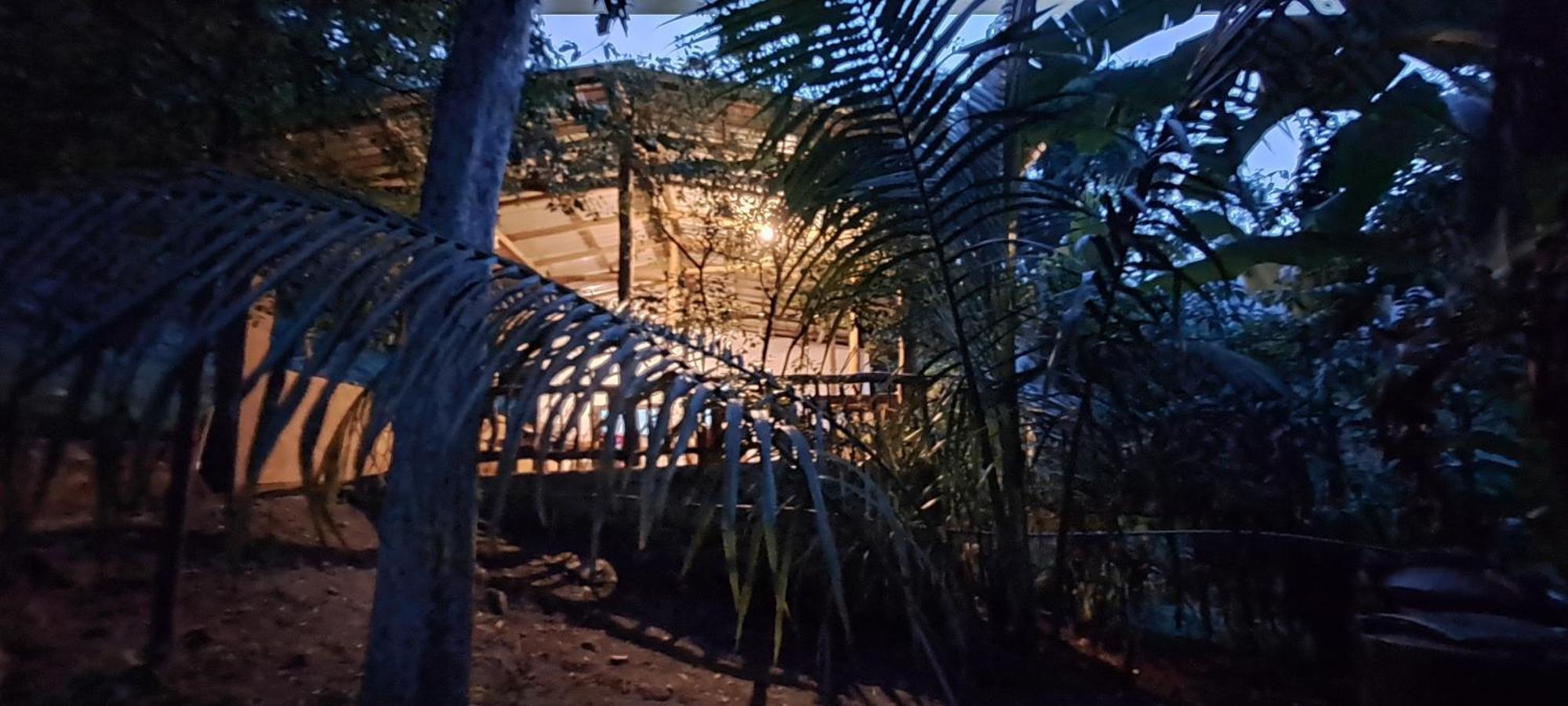 Hotel Moon Light- Sunrise Ella Exterior foto
